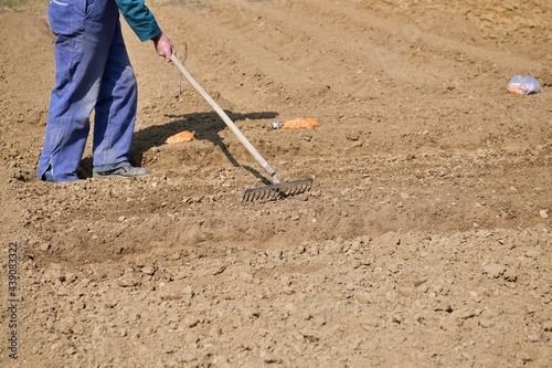 Obraz na płótnie A farmer in a field cultivates the soil by hand before planting the seeds in the spring w salonie