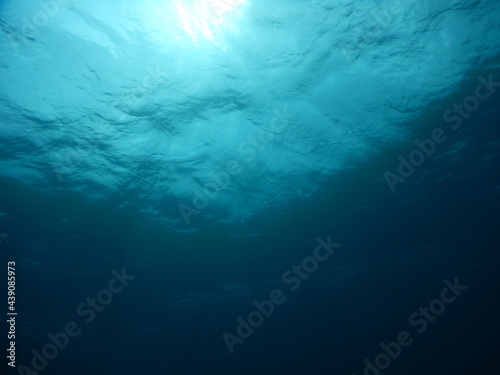 沖縄の海でダイビング中に見かけた水中から眺めた太陽の光で映える水面