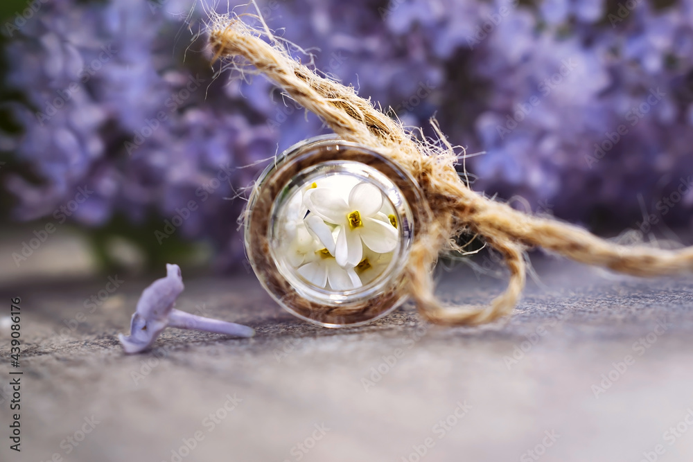 White lilac petals in an open glass bottle against a purple lilac branch. Background. Postcard. White lilac petals in an open glass bottle against a purple lilac branch. Background. Postcard.