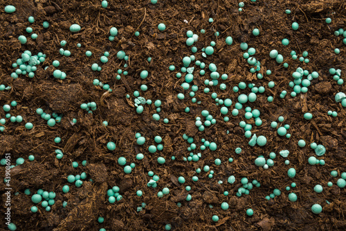 Green complex fertiliser granules on dark brown soil. Closeup. Product for root feeding of vegetables, flowers and plants. Top down view. photo