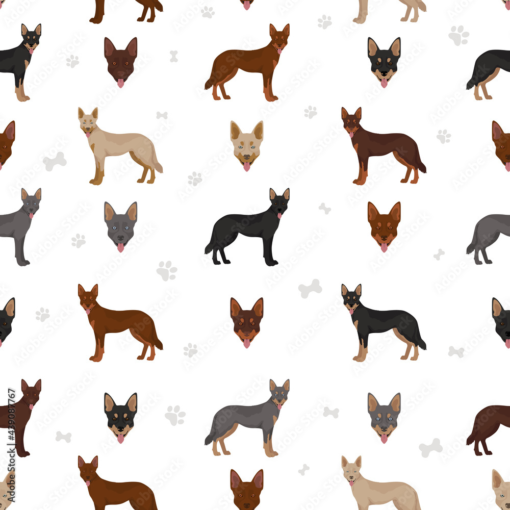 Australian kelpie all colours clipart. Different coat colors and poses seamless pattern Stock