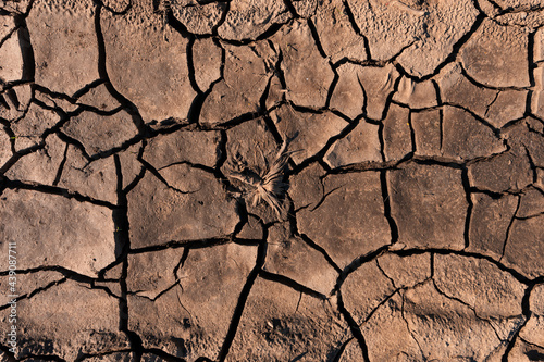Drought background, texture of dry mud with cracks