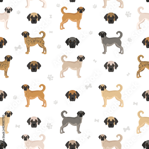 Anatolian shepherd all colours seamless pattern. Different coat colors and poses set