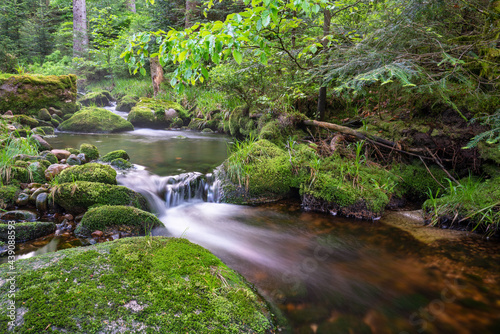 Idyllischer Bergbach im Schwarzwald, Baden-Württemberg, Deutschland