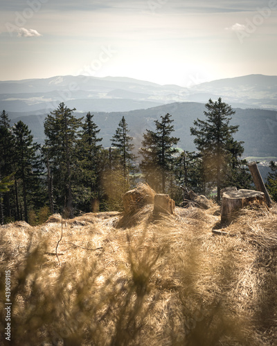 View over the Top of Muntains in the Bavarian Forest