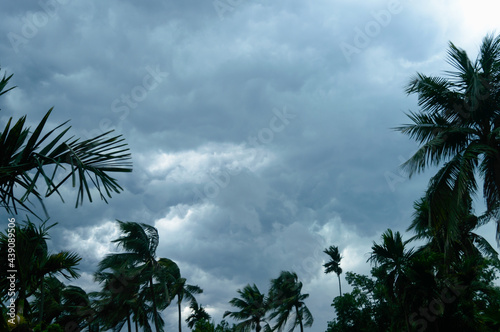 Thick dark black heavy storm clouds covered summer sunset sky horizon. Gale speed wind blowing over blurry coconut palm tree before Norwesters Kalbaishakhi Bordoisila thunderstorm torrential rain. photo