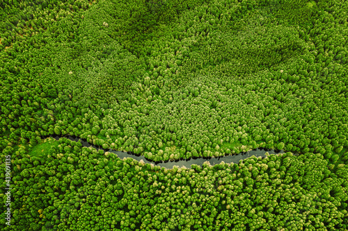 Elevated View Of Green Small Bog Marsh Swamp River Wetland And Green Forest Landscape In Summer Day. Attitude View. Forest In Bird's Eye View