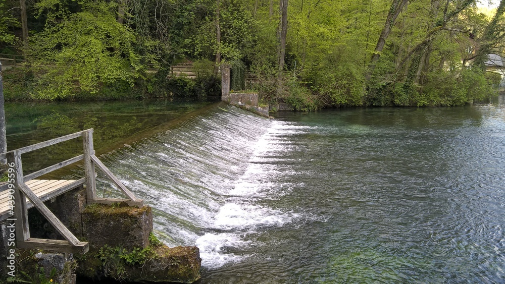 Naklejka premium nature fields and woods in summer