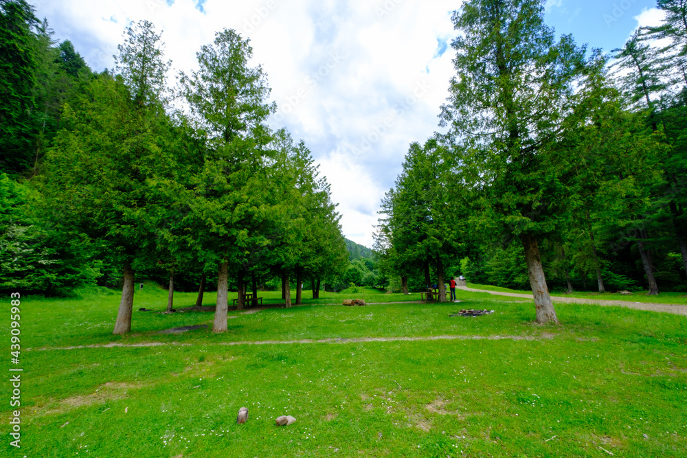 Obraz premium picnic table in the forest, Romania forest. Romania landscape