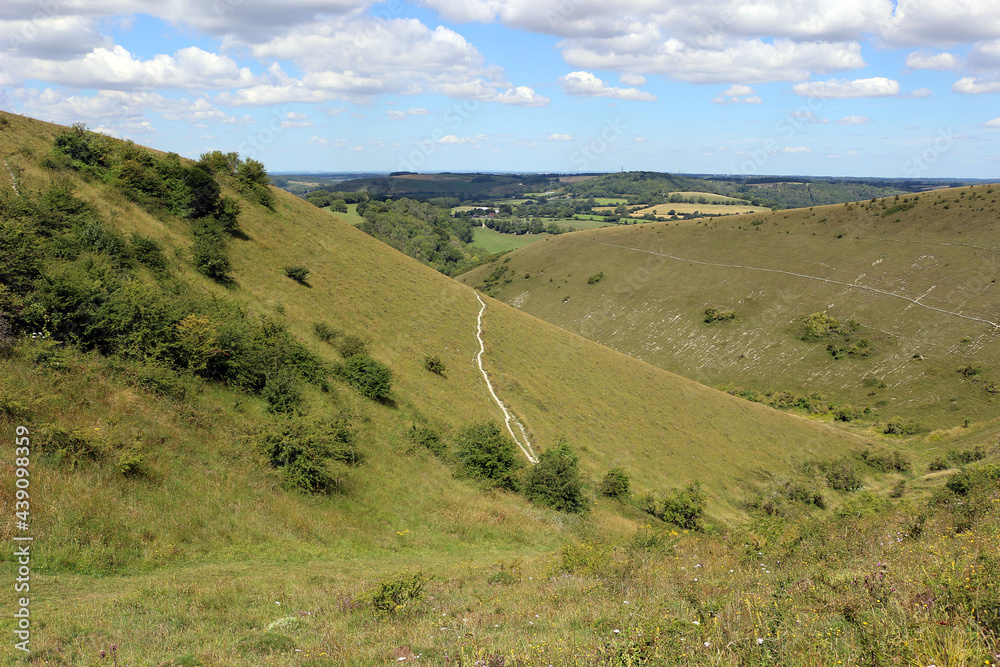 Landscape of the South Downs from Butser Hill, Hampshire Landscape of the South Downs from Butser Hill, Hampshire
