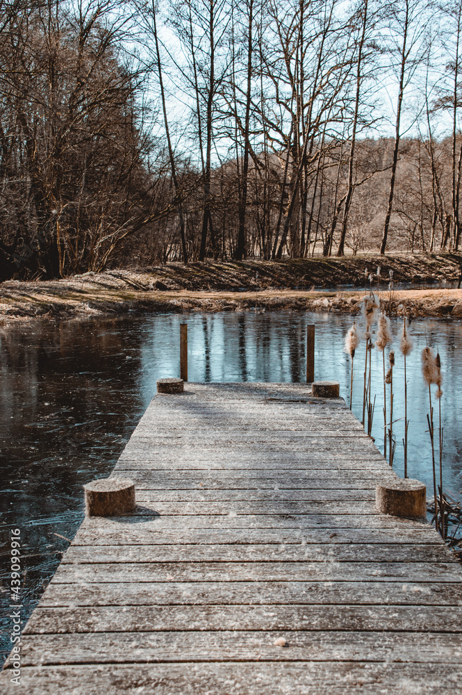 Obraz premium Steg am See