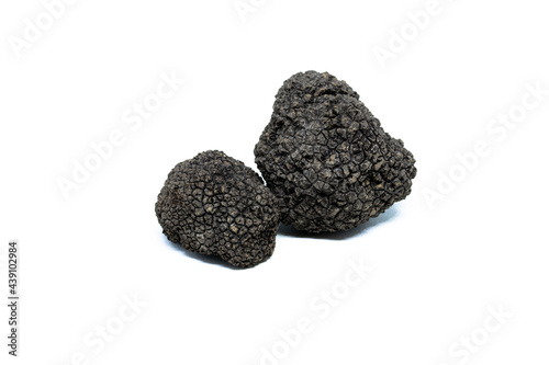 black truffle, tuber aestivum, white background