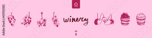 Wine industry icons set. Winemaking hand drawn illustrations for winery symbol, wine shop, alcohol store, vector logo templates, biodynamic wines, wine bar sign. Bottle screw, octave, grape, stopper.