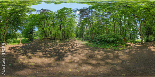 Fototapeta Naklejka Na Ścianę i Meble -  path in a german forest 360° x 180° spherical panorama