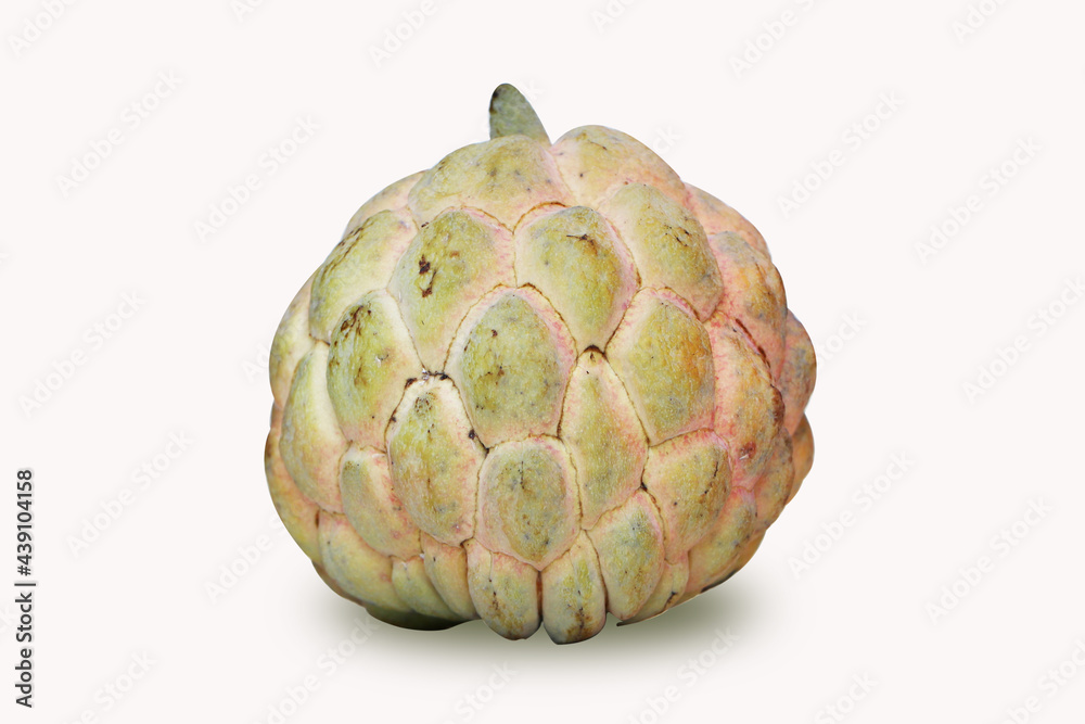 Sugar apple (custard apple, Annona, sweetsop) isolated on white background, exotic tropical Thai annona or cherimoya fruit, healthy food Sugar apple (custard apple, Annona, sweetsop) isolated on white background, exotic tropical Thai annona or cherimoya fruit, healthy food