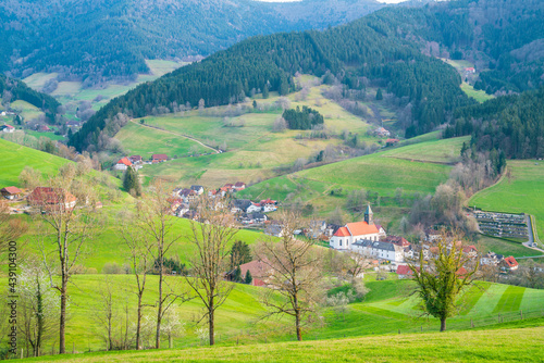 Germany, Schwarzwald village of traditional houses and church of elzach in valley between green tree covered forest landscape