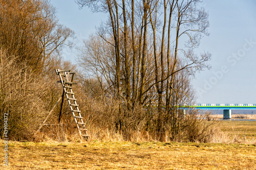 Fototapeta Naklejka Na Ścianę i Meble -  Przedwiośnie w Narwiańskim Parku Narodowym, Podlasie, Polska