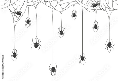 Halloween spiders background. Black spiders on spooky halloween hanging cobweb vector background illustration. Spooky halloween spider web backdrop
