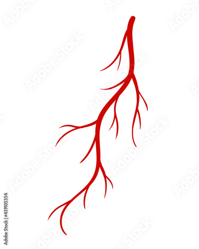 Human veins. Red silhouette vessel, arteries or capillaries on white background. Concept anatomy element for medical science. isolated symbol of blood system