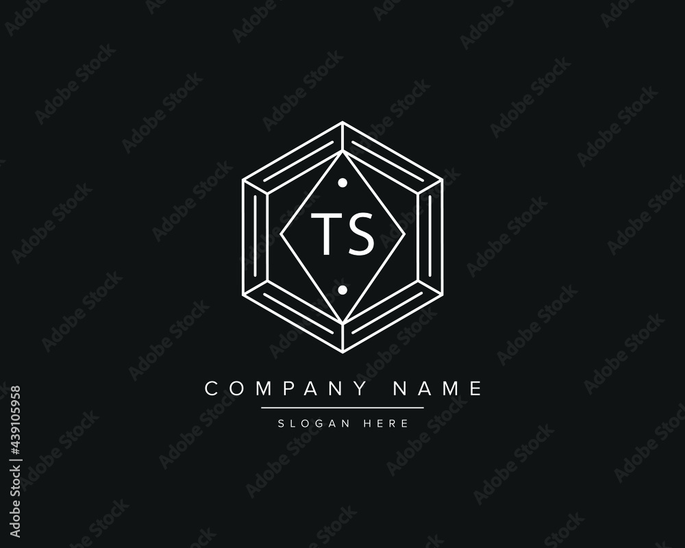 Alphabet letter TS logo design vector Stock Vector | Adobe Stock