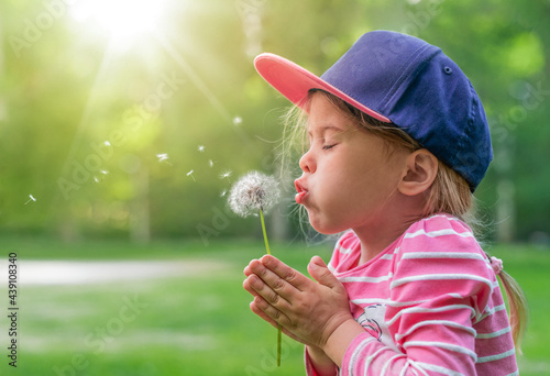Child blows on a dandelion. Little girl enjoying outdoor in a public park.