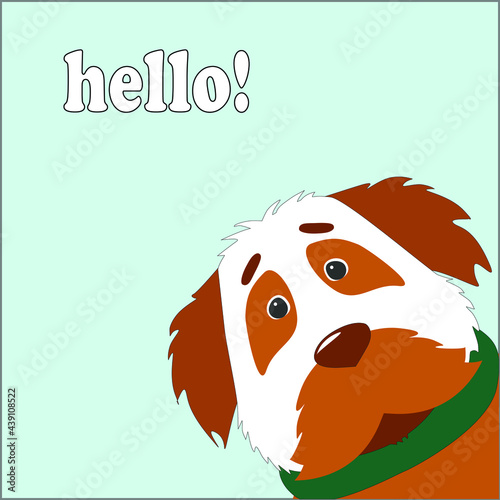 Greeting card with brown dog