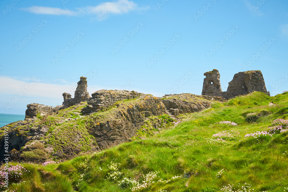 Ruins of The Black Castle and a view of the Wicklow sea in the background.