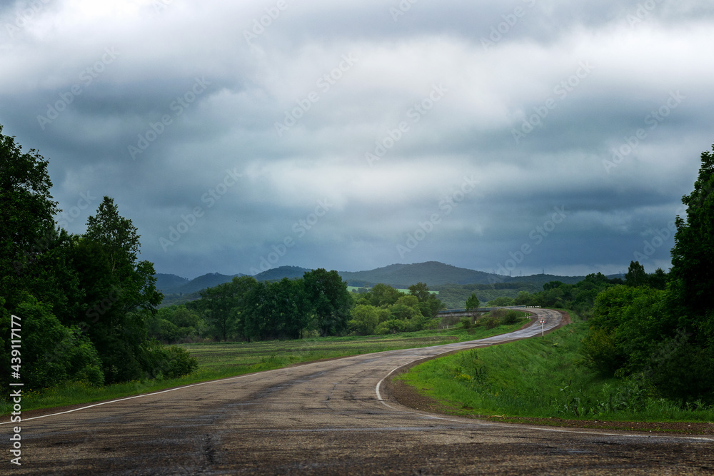 asphalt road running between green trees on a cloudy summer day.