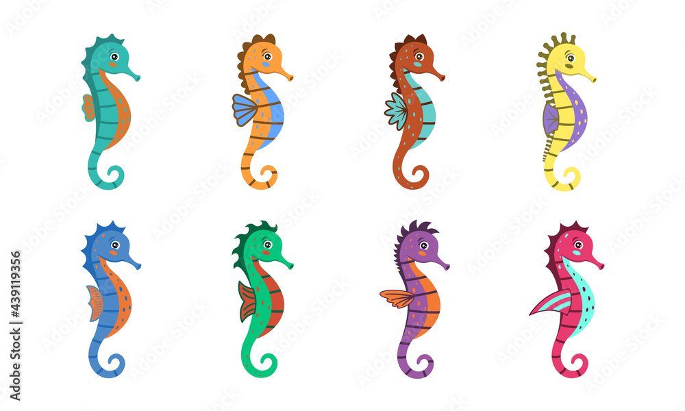 Set of cute seahorse characters. Color vector illustration cartoon style. White isolated background.
