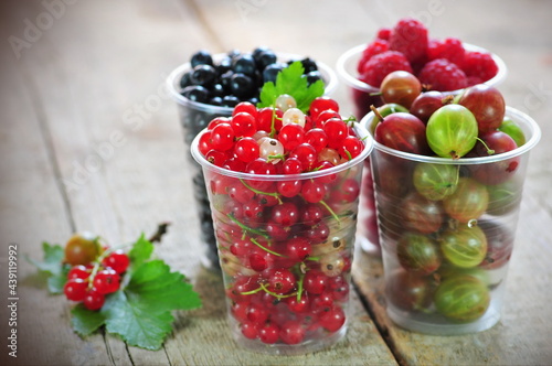 Gooseberry, blueberry, raspberry, red and white currant in glasses