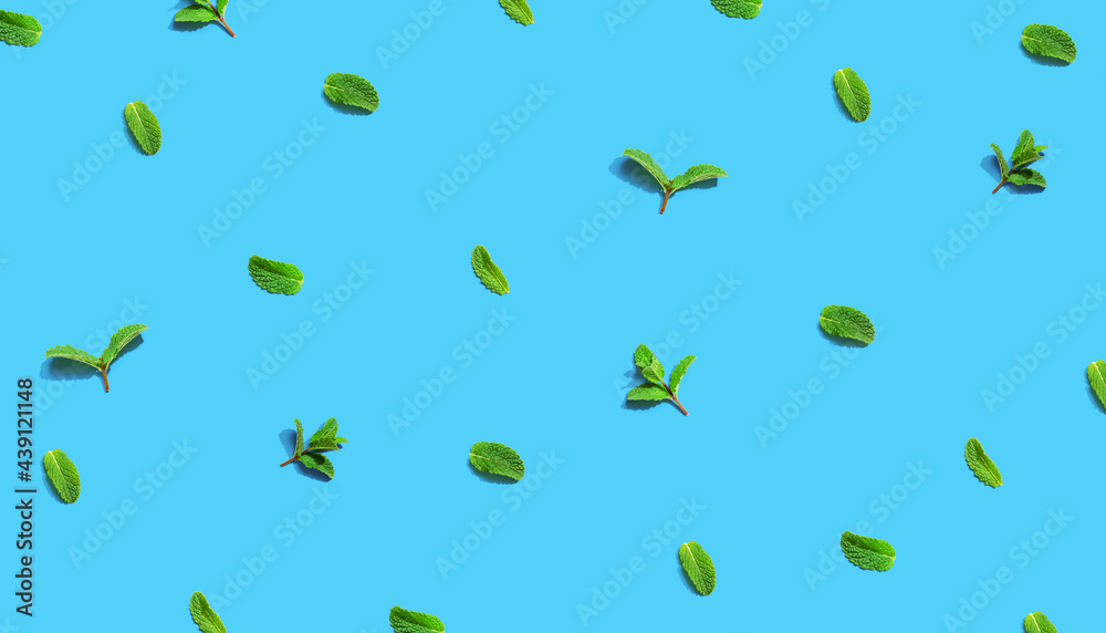 Fresh mint leaves overhead view
