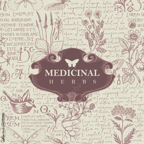 Vector banner or label with the words Medicinal herbs. Hand-drawn illustration in retro style with vintage frame on the background of medicinal herbs and handwritten text Lorem Ipsum