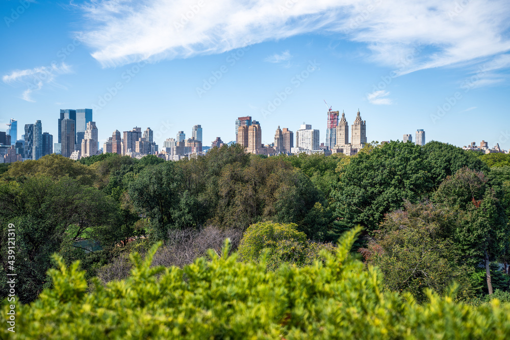 Central Park and Midtown Manhattan skyline in summer, New York City, USA