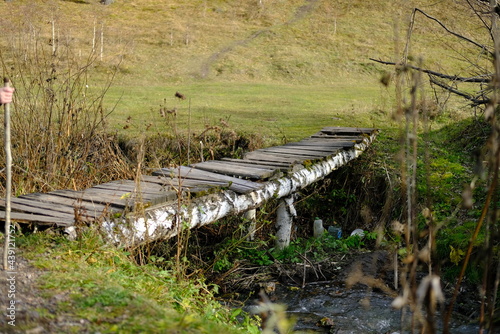 fence in the forest