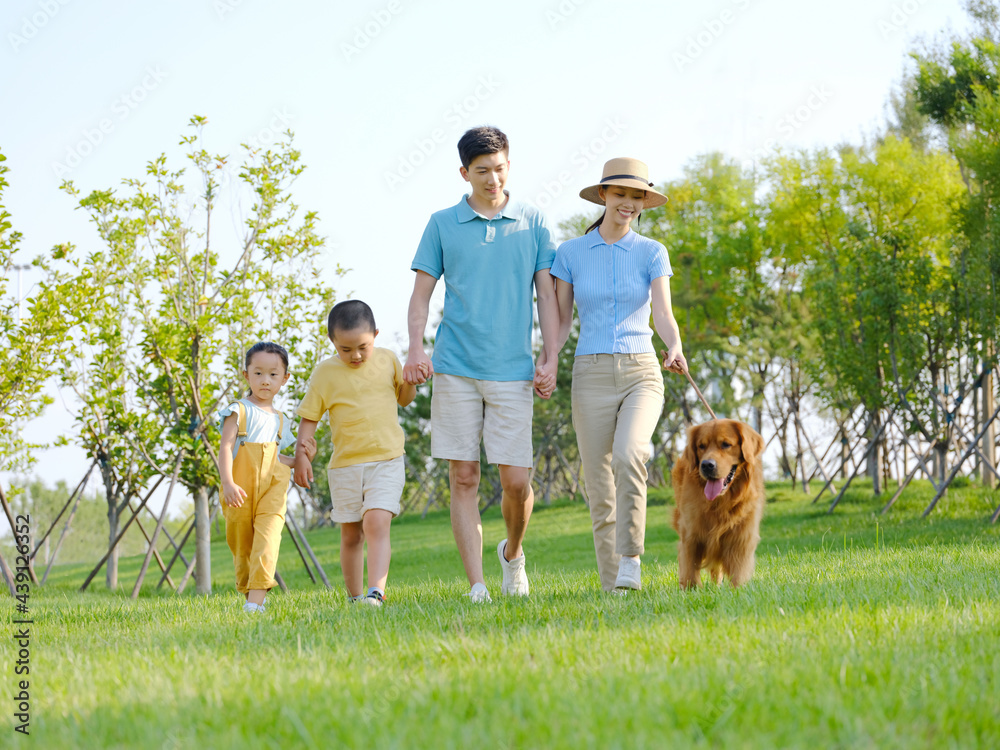 Obraz premium Happy family of four walking dogs in the park
