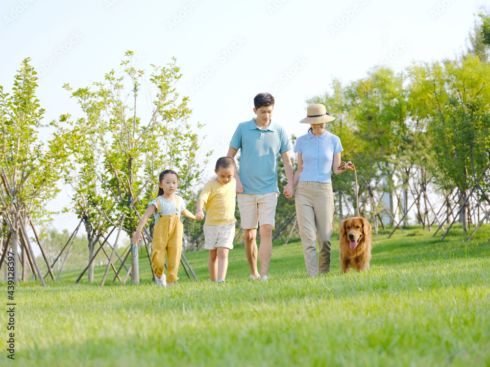 Obraz premium Happy family of four walking dogs in the park
