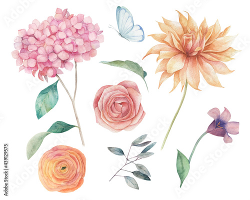 Watercolor floral elements set. Botanical illustration of dahlia  hortensia  rose flowers and leaves. Nature hand drawn isolated illustration on white background