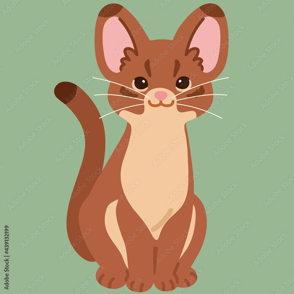Simple and adorable illustration of Abyssinian cat sitting in front view flat colored