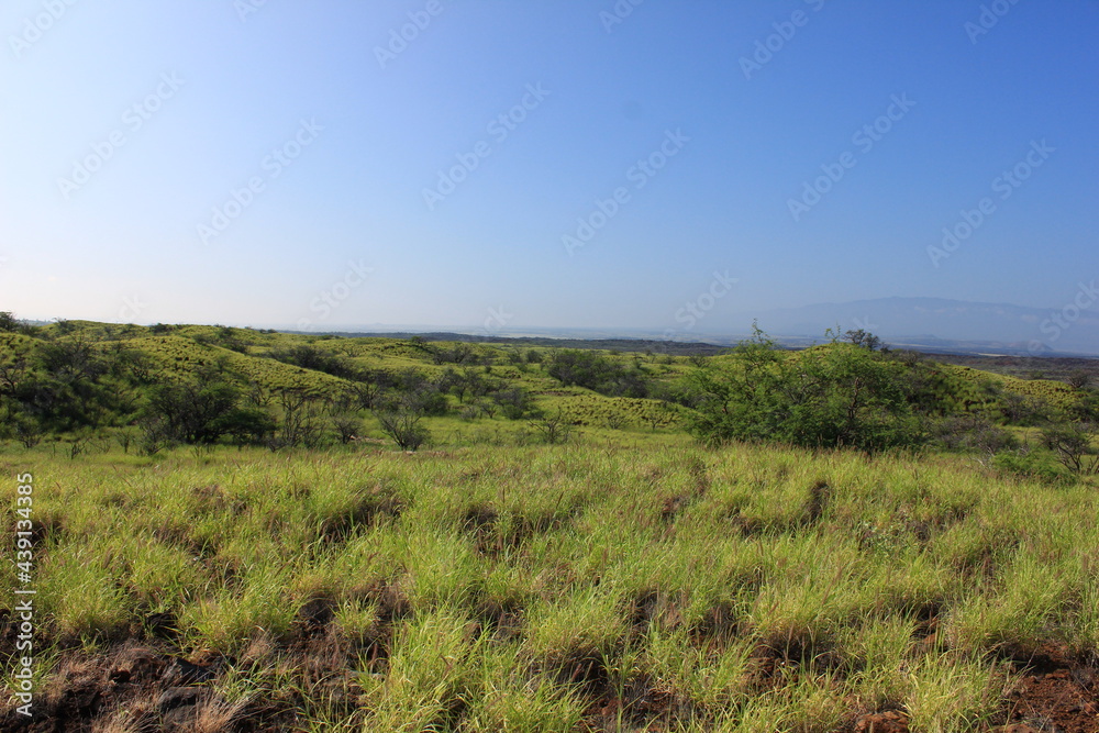 ハワイ島（ビッグアイランド）。緑に覆われた溶岩の大地。青い空と白い空。まぶしい太陽の光が降り注ぐ。