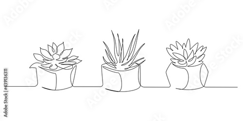 Home plants in one Continuous Line Drawing. Potted Cactus and Succulent in simple linear style isolated on white background. Vector illustration