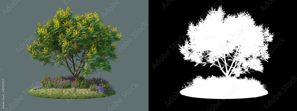 Fototapeta premium The tree has many types of flowers. 