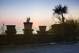 silhouettes of vases and tropical plants on a garden fence at sunset.