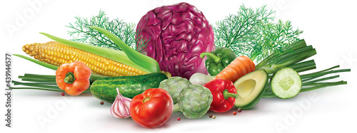 Composition of colorful vegetables decorated with herbs. Mesh vector