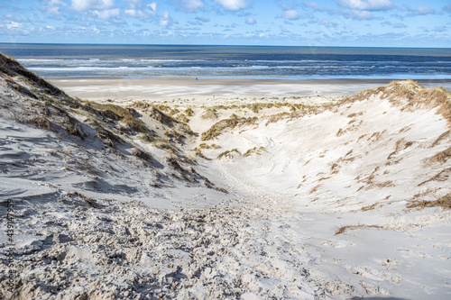 Coastal dune, wild grass with the beach and the calm sea in the background, sunny day with a blue sky and white clouds in Hargen aan Zee, North Holland, Netherlands photo