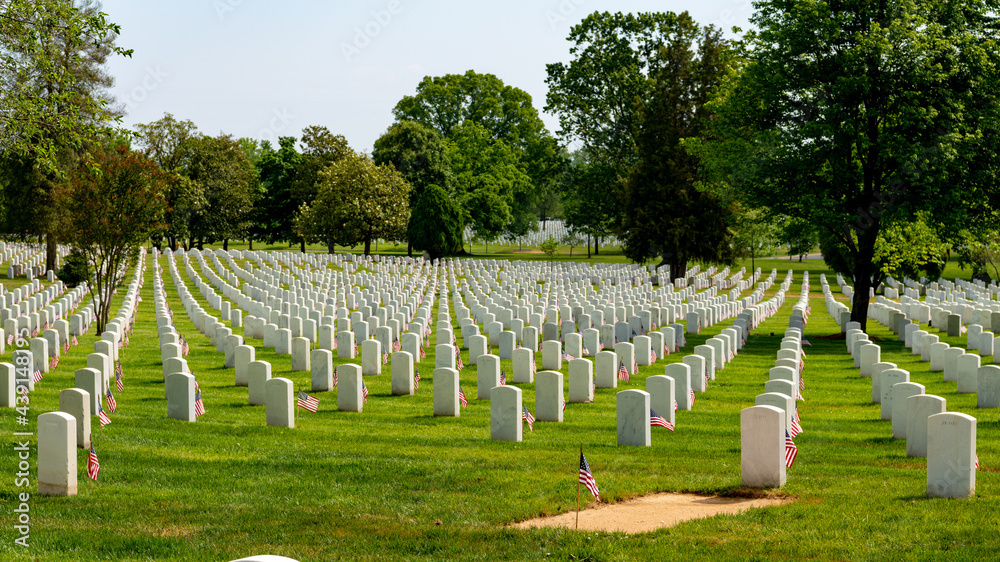 Rowes of tomb stones at Arlington Cemetery in Washington DC