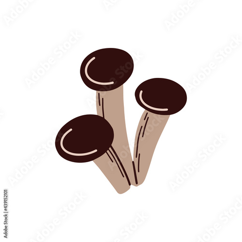 Forest mushrooms. Vector illustration