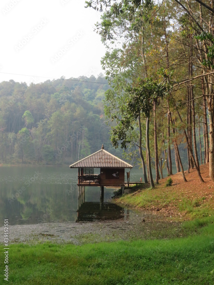 gazebo in the forest