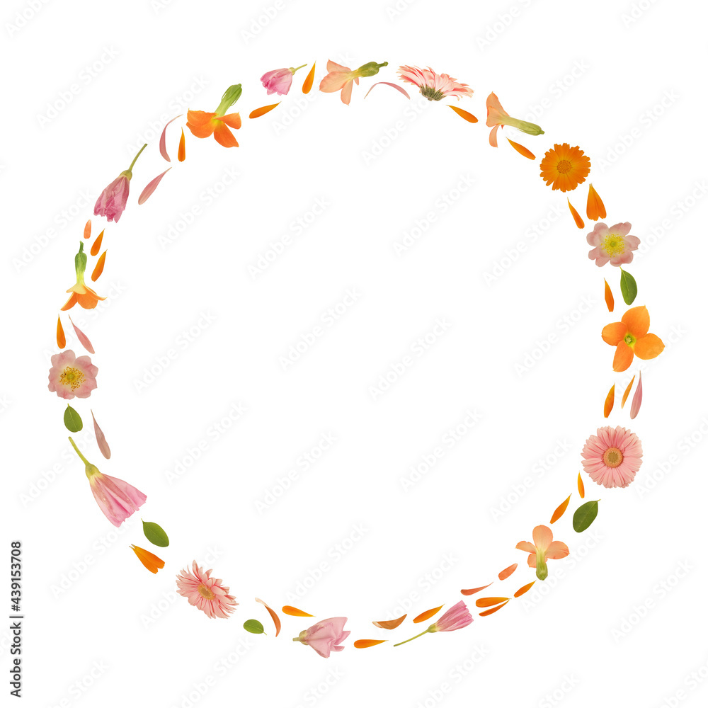 Art floral round frame made of beautiful natural flowers. Trendy colorful blooming abstract idea with circle composition. Botany concept with leaves, blossoms, petals and buds Art floral round frame made of beautiful natural flowers. Trendy colorful blooming abstract idea with circle composition. Botany concept with leaves, blossoms, petals and buds