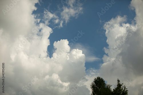 Clouds in the sky. Landscape with trees and clouds.