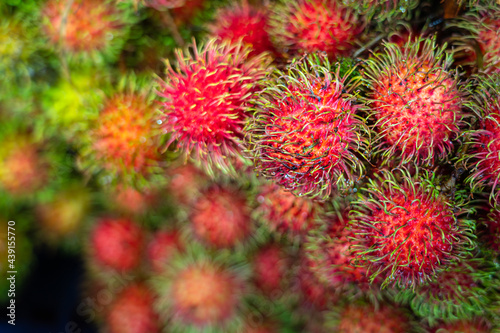 Group of ripe rambutan fruits in colorful red color, Asian agriculture food.